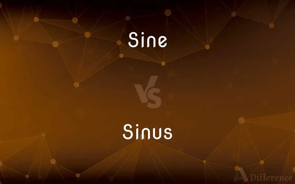 Sine vs. Sinus — What's the Difference?