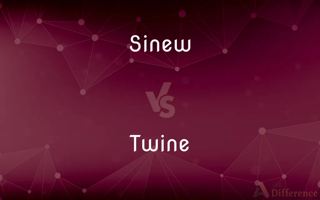 Sinew vs. Twine — What's the Difference?