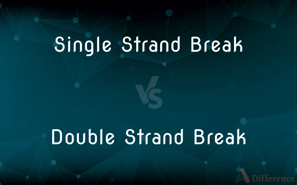 Single Strand Break vs. Double Strand Break — What's the Difference?