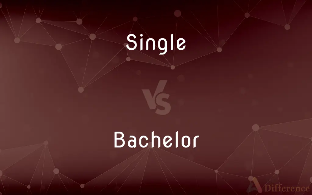 Single vs. Bachelor — What's the Difference?