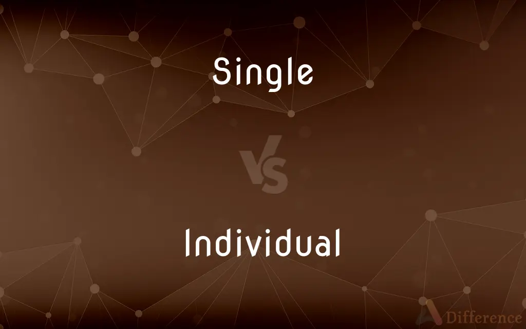 Single vs. Individual — What's the Difference?