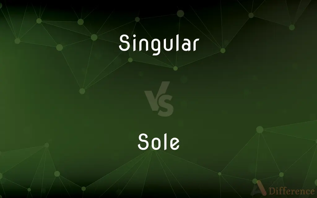 Singular vs. Sole — What's the Difference?