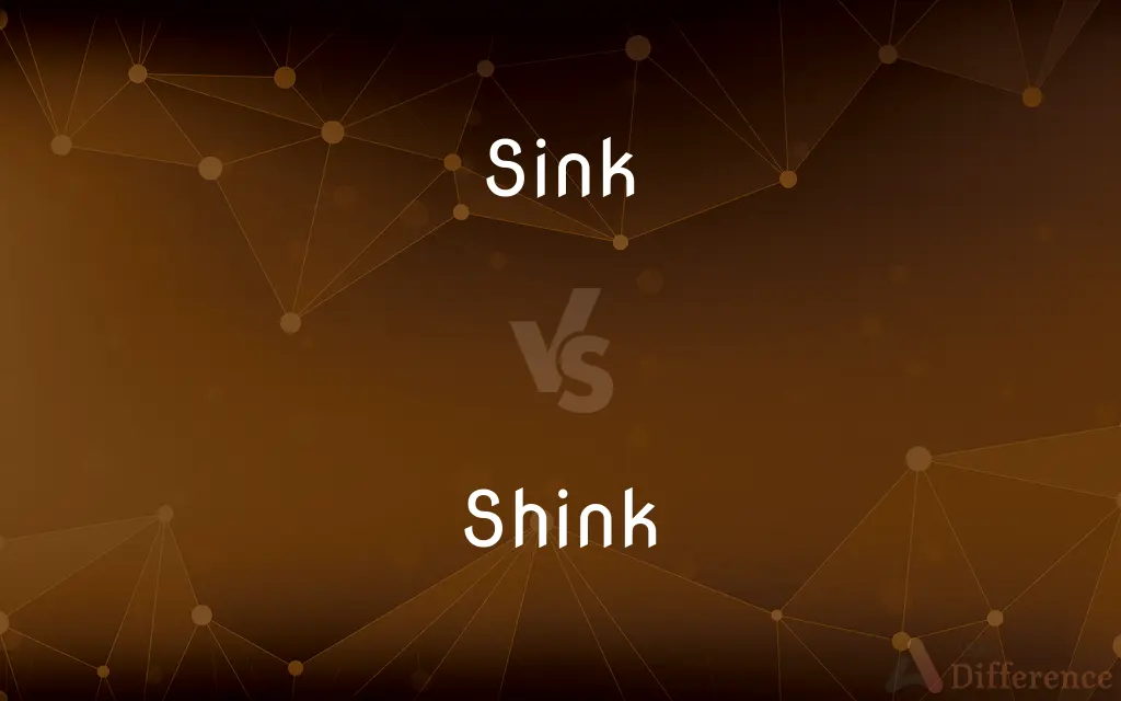 Sink vs. Shink — What's the Difference?