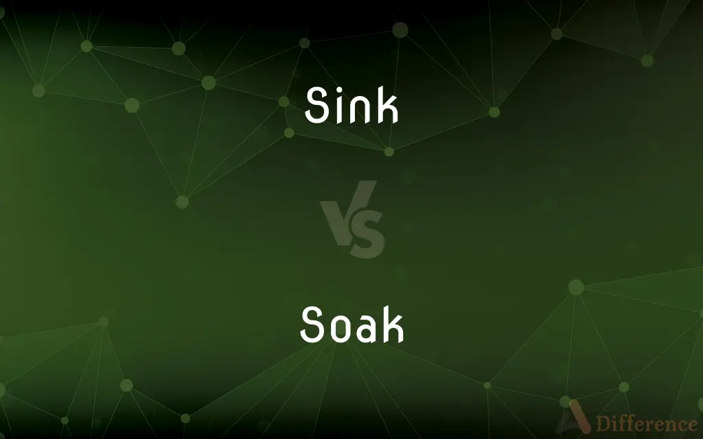 Sink vs. Soak — What's the Difference?