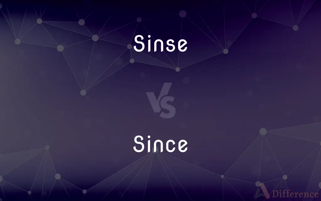 Sinse vs. Since — Which is Correct Spelling?