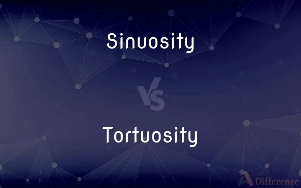 Sinuosity vs. Tortuosity — What's the Difference?