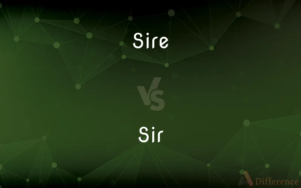 Sire vs. Sir — What's the Difference?