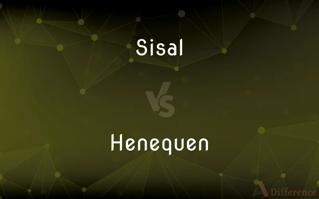 Sisal vs. Henequen — What's the Difference?