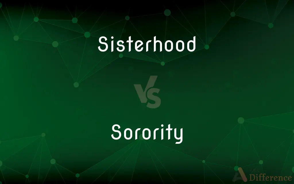 Sisterhood vs. Sorority — What's the Difference?