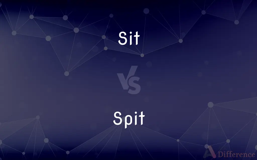 Sit vs. Spit — What's the Difference?