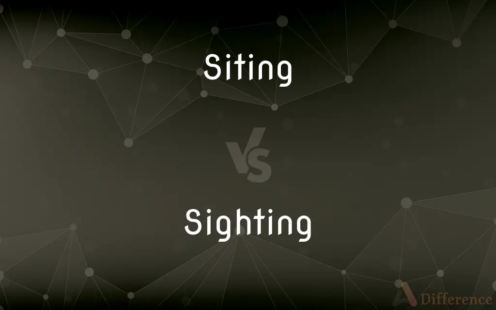 Siting vs. Sighting — What's the Difference?