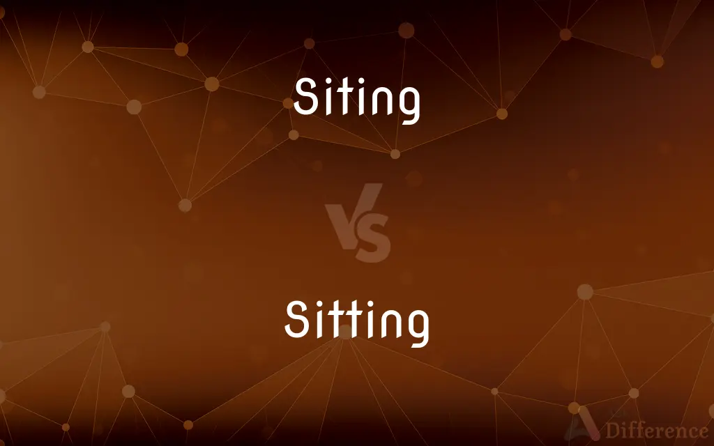 Siting vs. Sitting — What's the Difference?