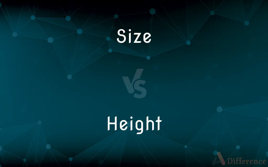 Size vs. Height — What's the Difference?