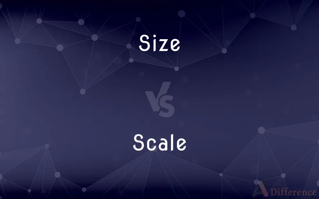 Size vs. Scale — What's the Difference?