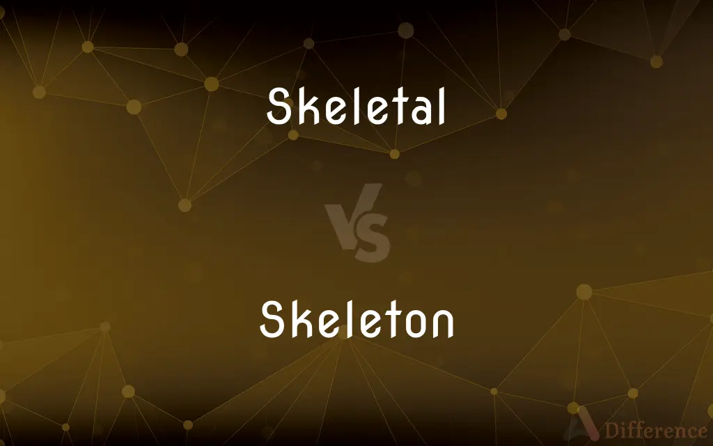 Skeletal vs. Skeleton — What's the Difference?