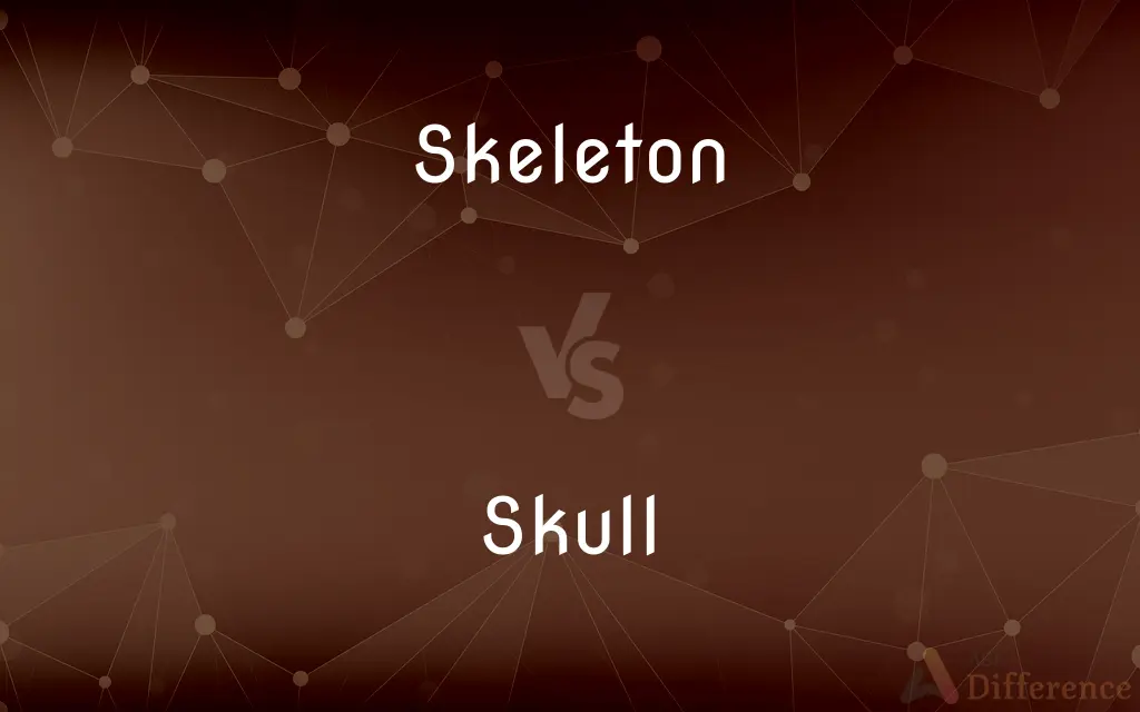 Skeleton vs. Skull — What's the Difference?