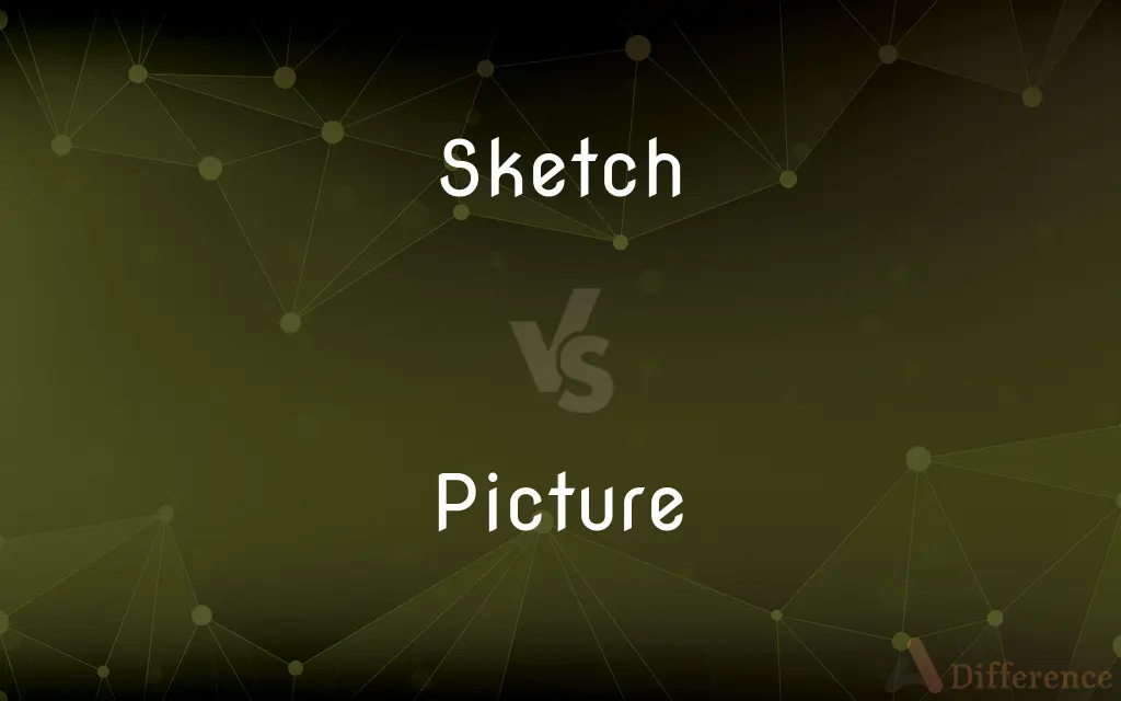 Sketch vs. Picture — What's the Difference?