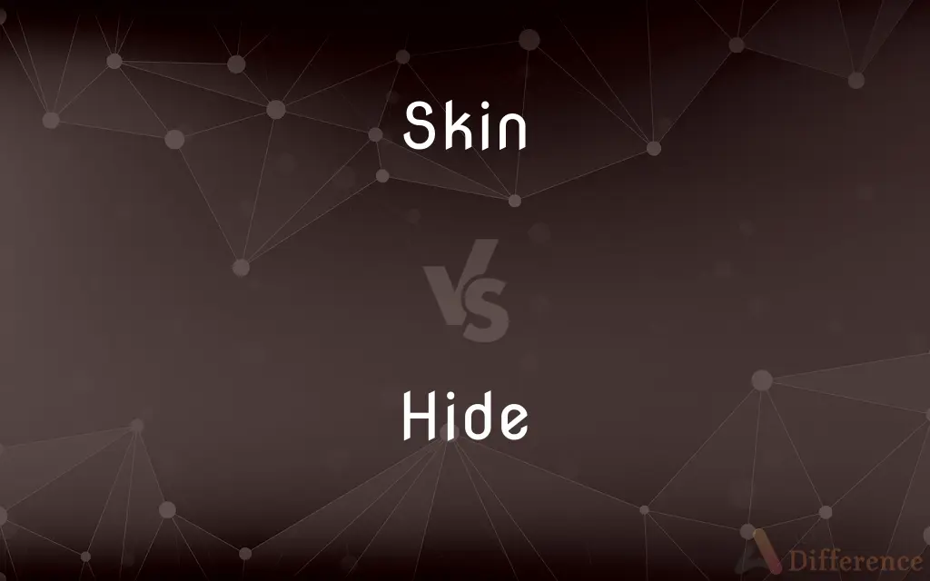 Skin vs. Hide — What's the Difference?