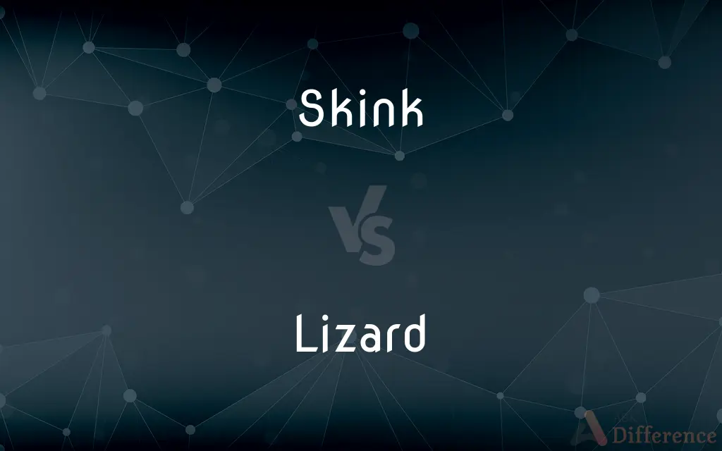 Skink vs. Lizard — What's the Difference?