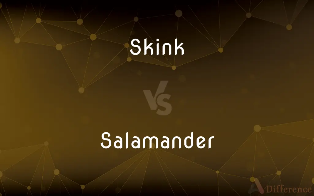 Skink vs. Salamander — What's the Difference?