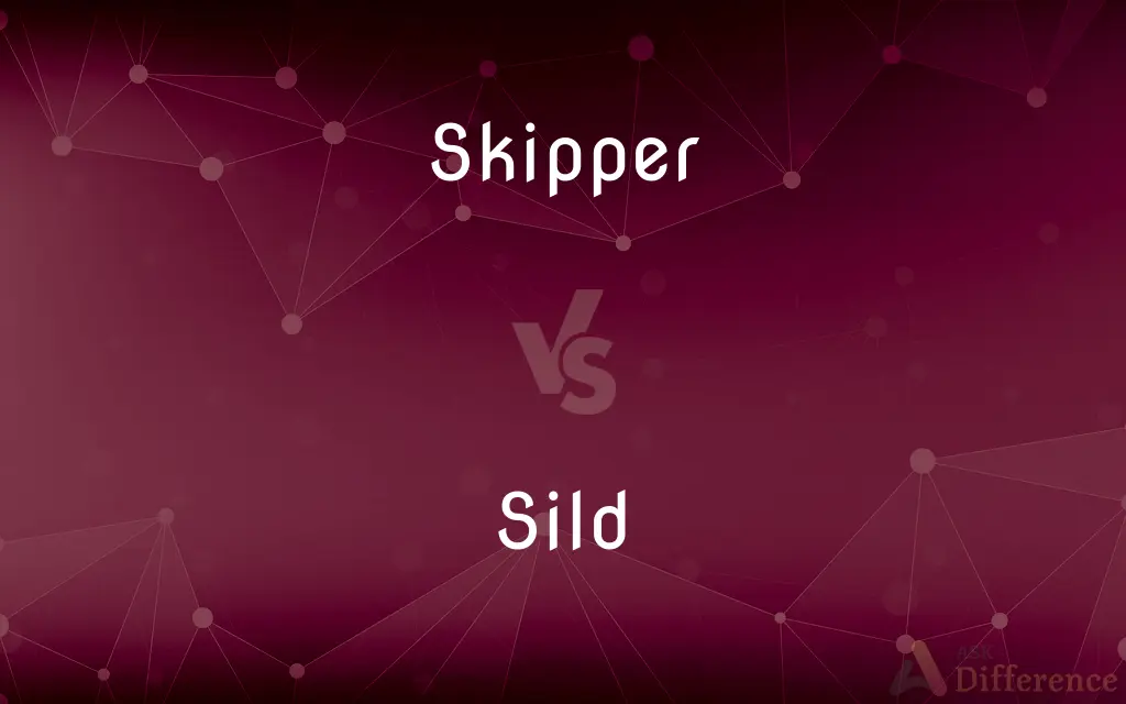 Skipper vs. Sild — What's the Difference?