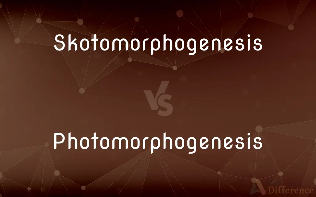 Skotomorphogenesis vs. Photomorphogenesis — What's the Difference?