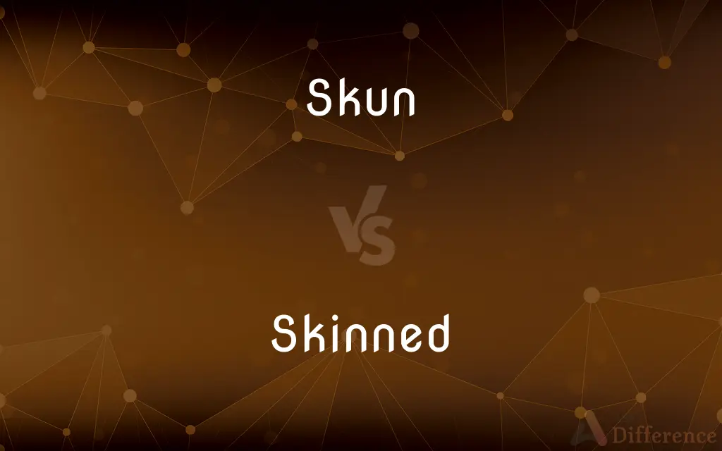 Skun vs. Skinned — Which is Correct Spelling?