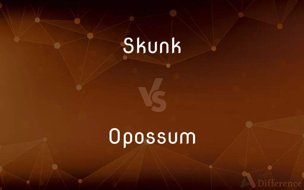 Skunk vs. Opossum — What's the Difference?
