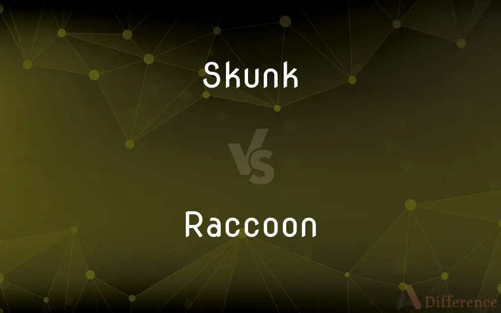 Skunk vs. Raccoon — What's the Difference?