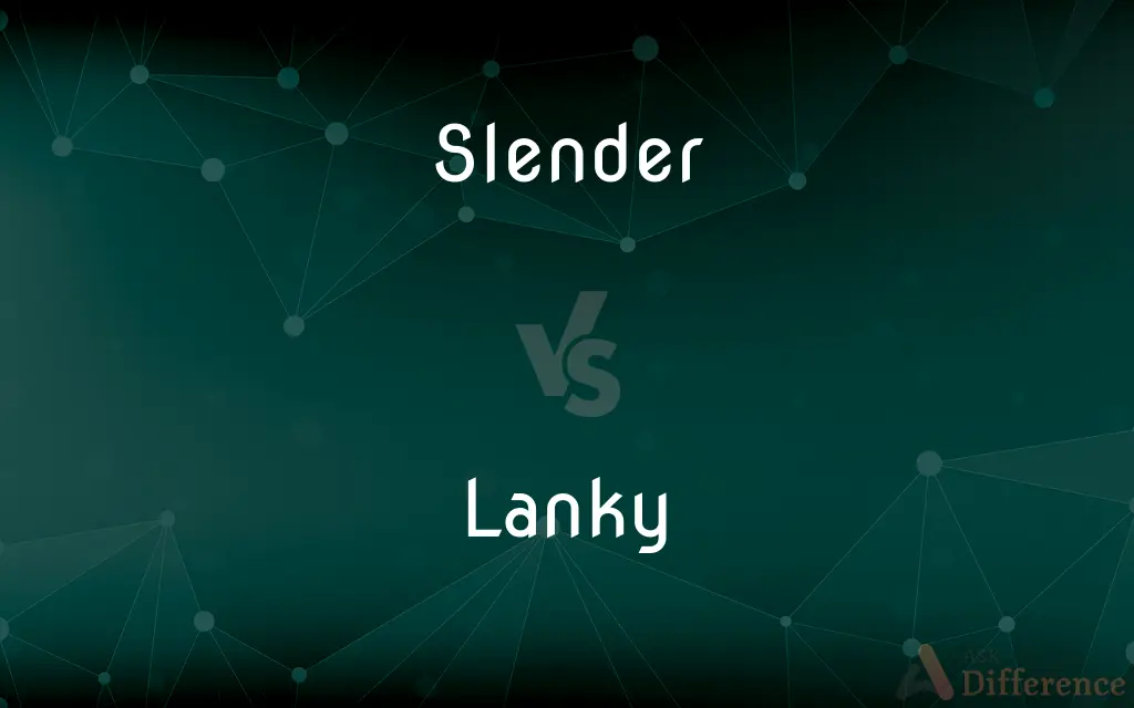 Slender vs. Lanky — What's the Difference?