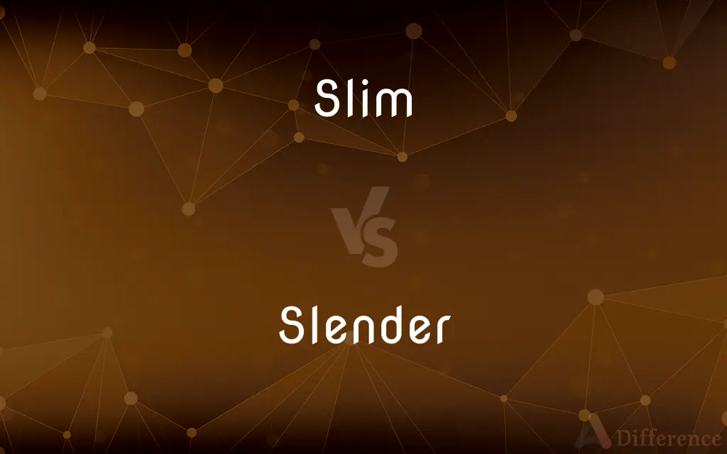 Slim vs. Slender — What's the Difference?