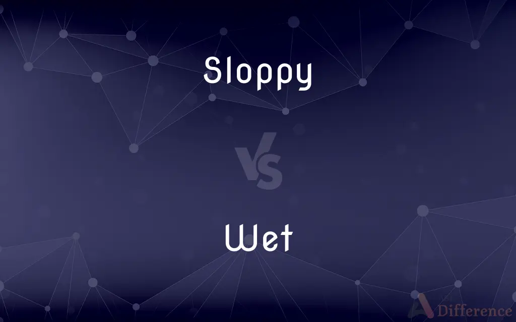 Sloppy vs. Wet — What's the Difference?