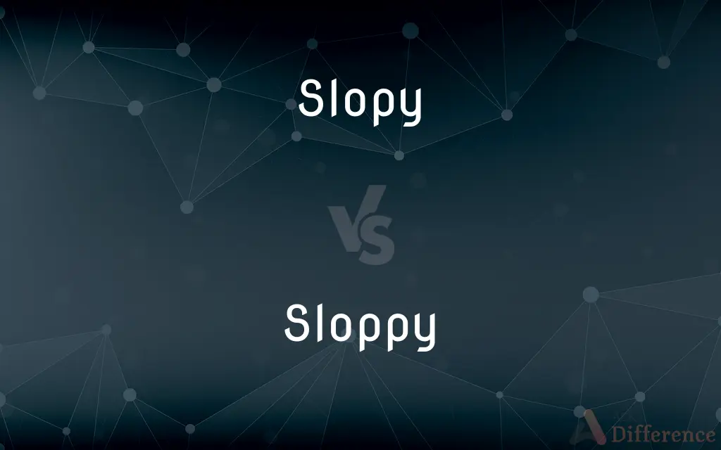 Slopy vs. Sloppy — What's the Difference?