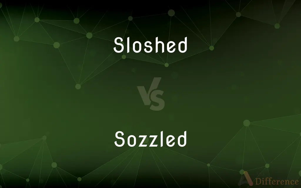 Sloshed vs. Sozzled — What's the Difference?