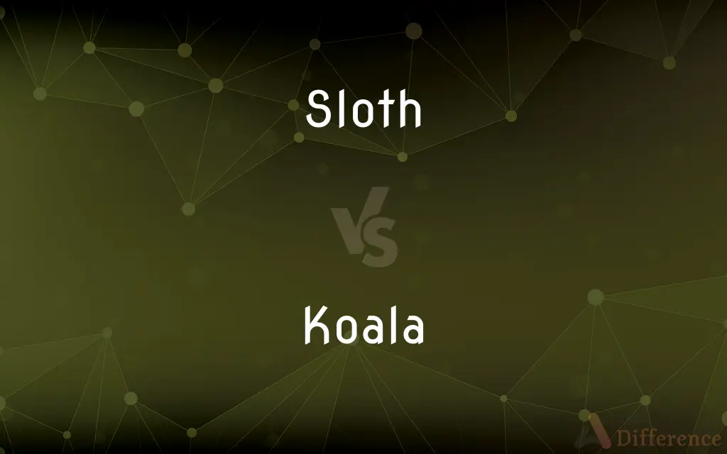 Sloth vs. Koala — What's the Difference?