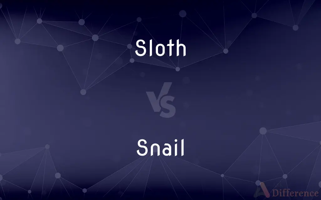Sloth vs. Snail — What's the Difference?