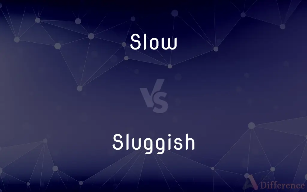 Slow vs. Sluggish — What's the Difference?
