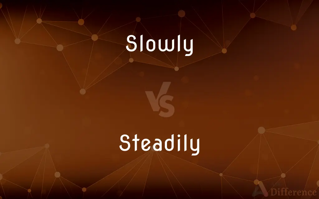 Slowly vs. Steadily — What's the Difference?