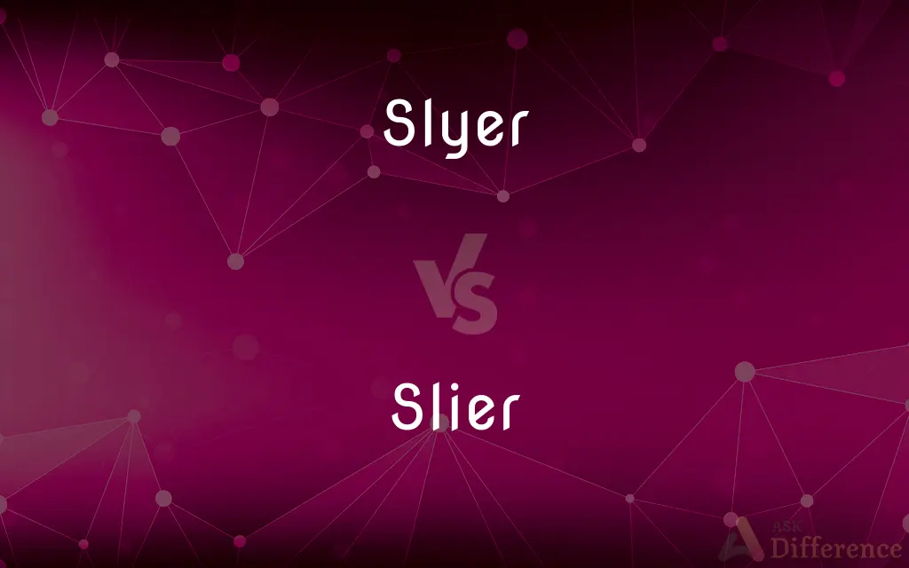 Slyer vs. Slier — What's the Difference?