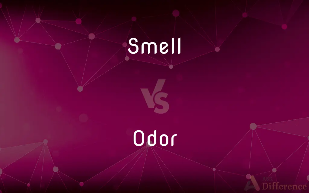 Smell vs. Odor — What's the Difference?