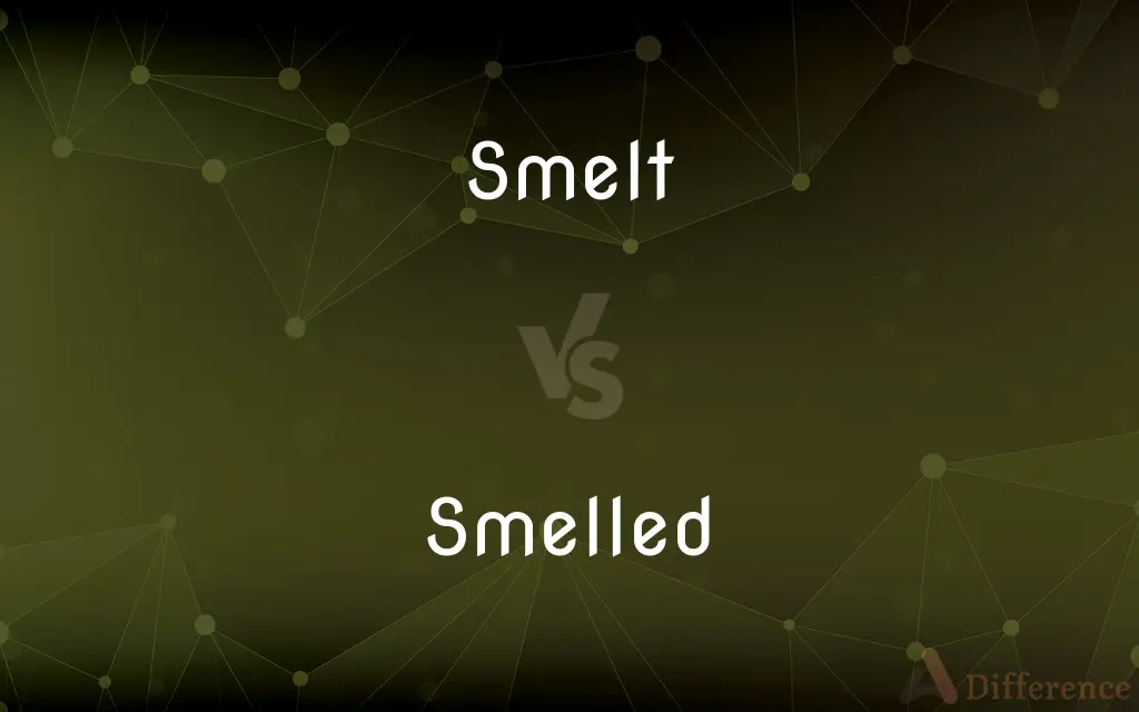 Smelt vs. Smelled — What's the Difference?
