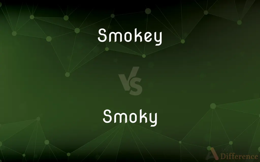Smokey vs. Smoky — Which is Correct Spelling?