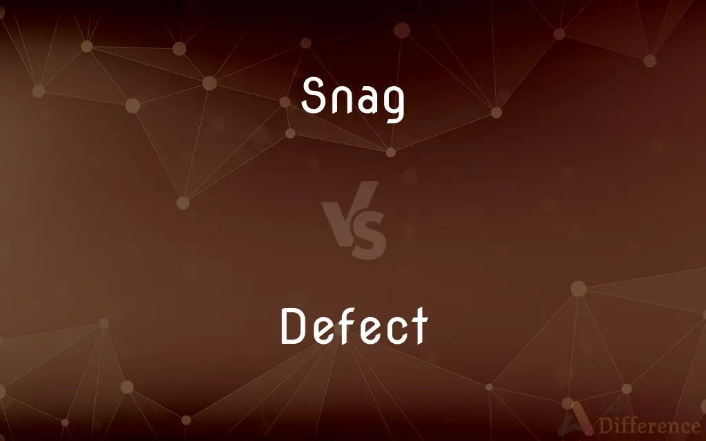 Snag vs. Defect — What's the Difference?