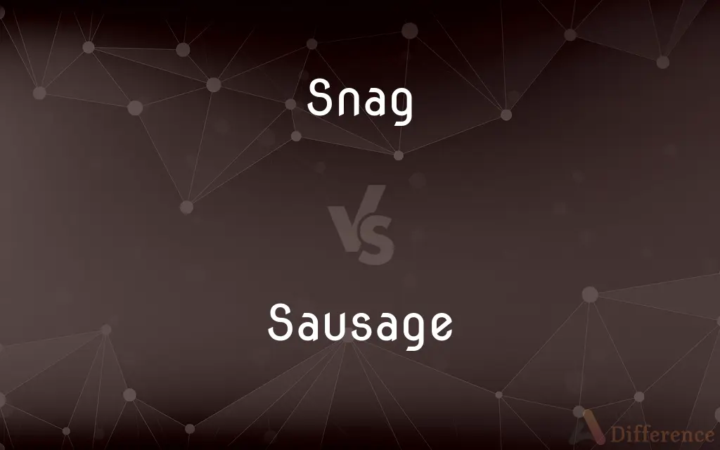Snag vs. Sausage — What's the Difference?