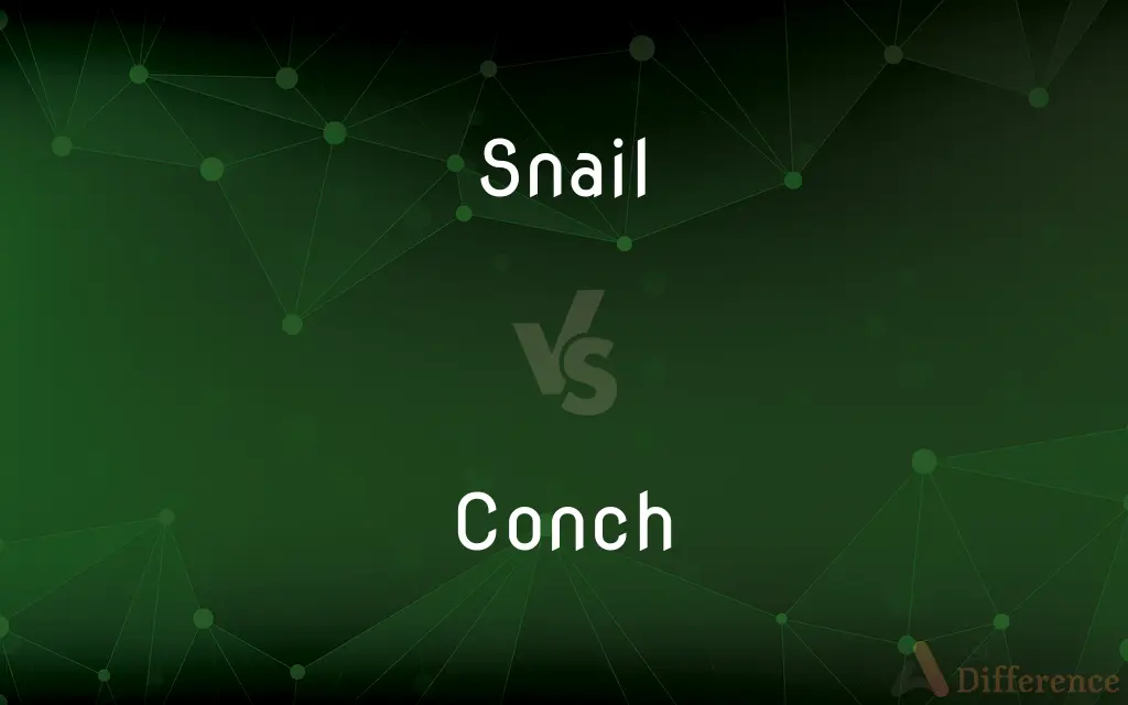 Snail vs. Conch — What's the Difference?