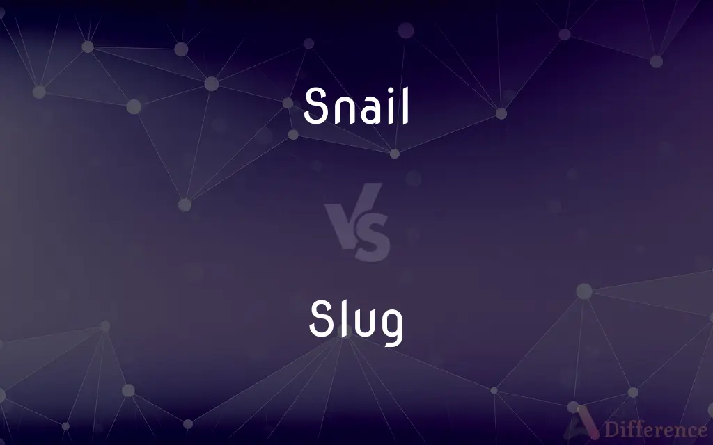 Snail vs. Slug — What's the Difference?