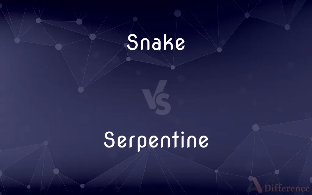 Snake vs. Serpentine — What's the Difference?