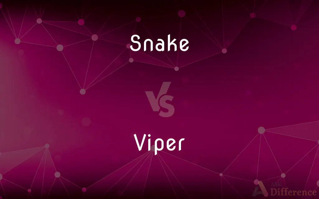 Snake vs. Viper — What's the Difference?