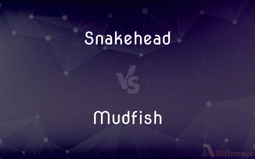 Snakehead vs. Mudfish — What's the Difference?