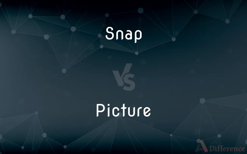 Snap vs. Picture — What's the Difference?